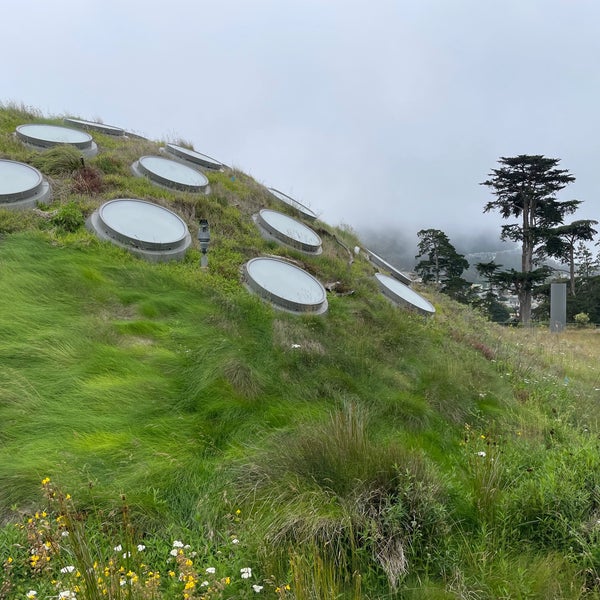 Photo taken at California Academy of Sciences by Edward S. on 6/17/2023