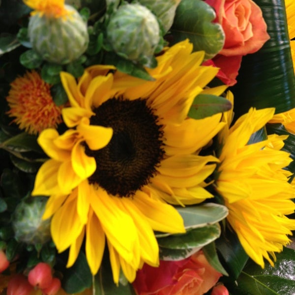 Floralies Garden & Deco 21 Rue Bergenblokstraat