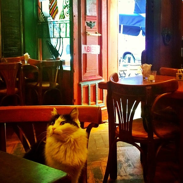 1/21/2015 tarihinde César D.ziyaretçi tarafından Bárbaro Bar | Bar o Bar'de çekilen fotoğraf