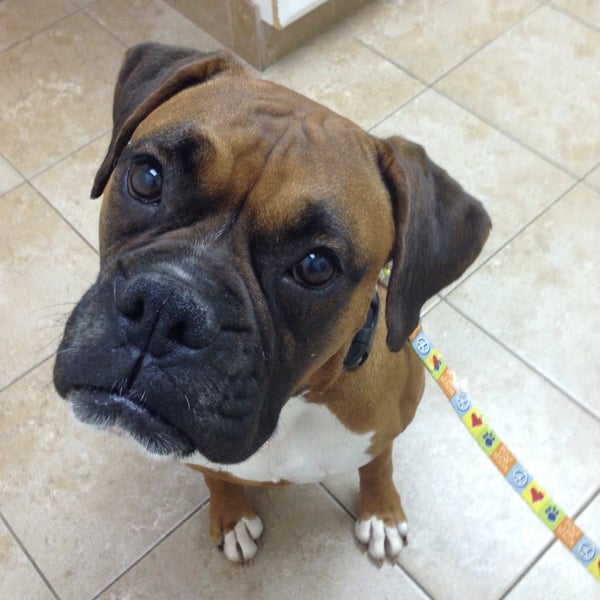 Peachtree Corners Animal Clinic 4020 Holcomb Bridge Rd