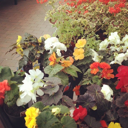 Photos At Hillside Nursery Centre Garden Center