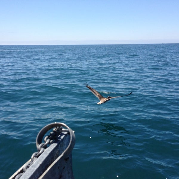 Photo taken at Newport Landing Whale Watching by Kristen M. on 8/7/2013