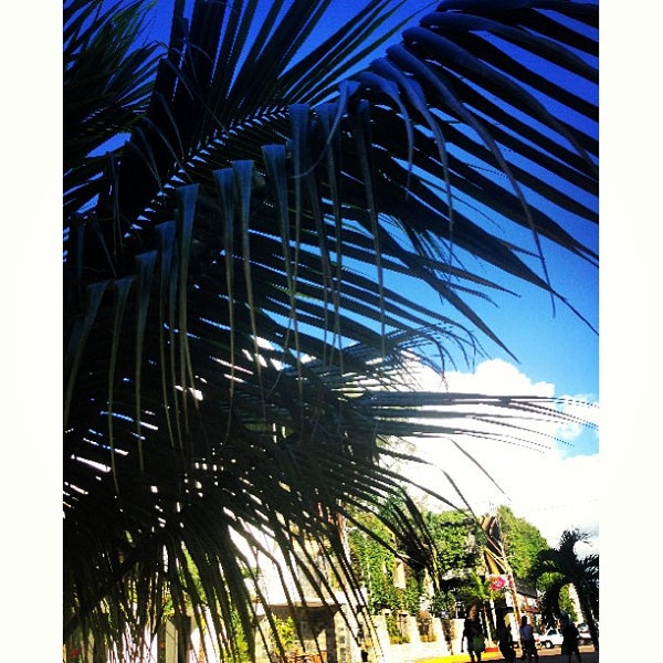 Снимок сделан в La Ceiba by Tukan Hotels пользователем Polina S. 8/2/2013