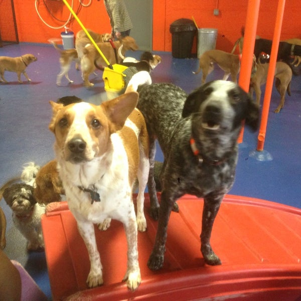 Photo taken at Urban Pooch Canine Life Center by Ed K. on 12/25/2013