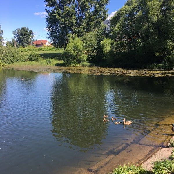 Река курица
