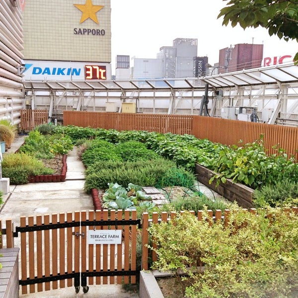 Photos At テラスファーム Terrace Farm 銀座 銀座4 6 16 Photos At テラスファーム Terrace Farm 銀座 銀座4 6 16
