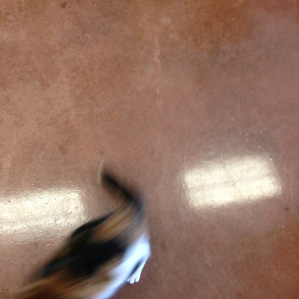 Photos at Soap Suds Coin Laundry 4211 N Main St