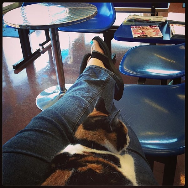 Photos at Soap Suds Coin Laundry 4211 N Main St