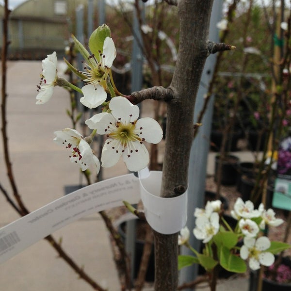 J&J Nursery Layton, UT