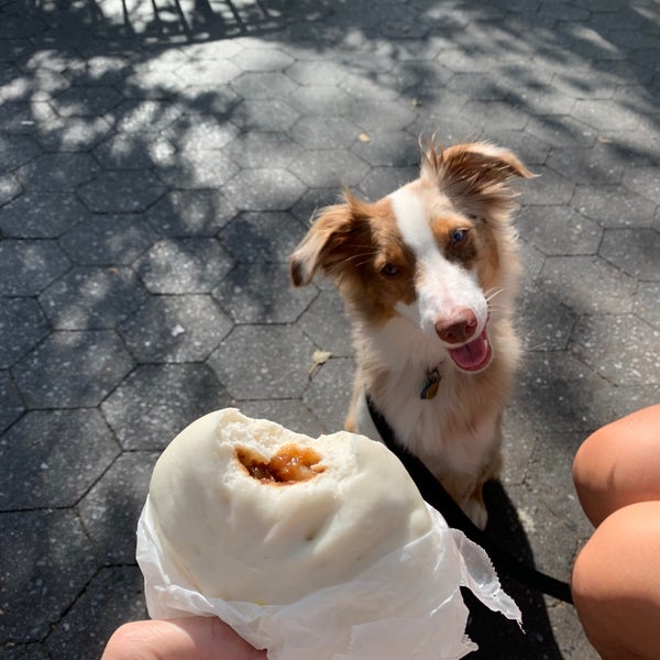 culver's pup cup