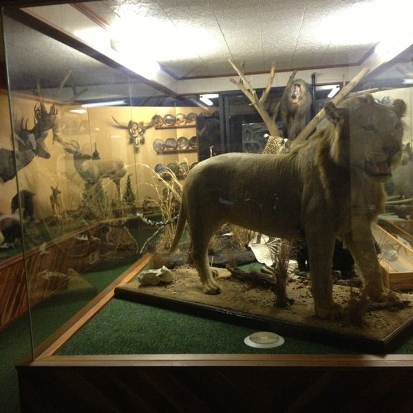 Photos at Joe's Bar Ligonier, PA