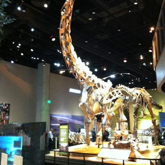Photo taken at Perot Museum of Nature and Science by Elaine B. on 11/28/2012
