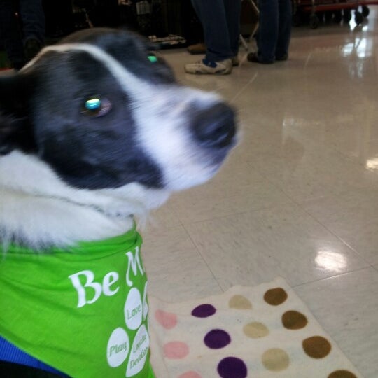 Petco Northwest Side San Antonio, TX