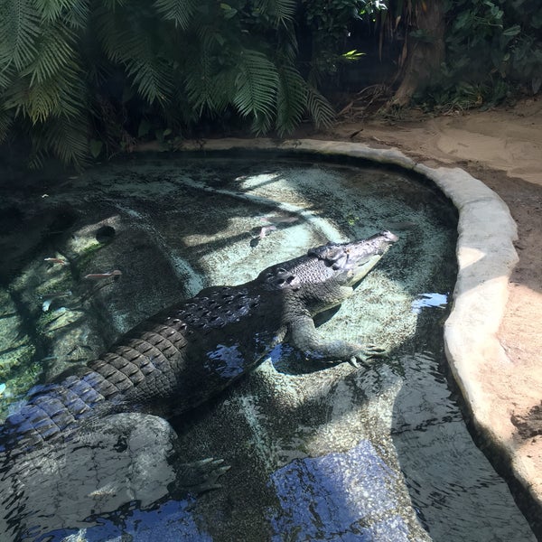 Reptile House Toledo Zoo Zoo Exhibit in Toledo