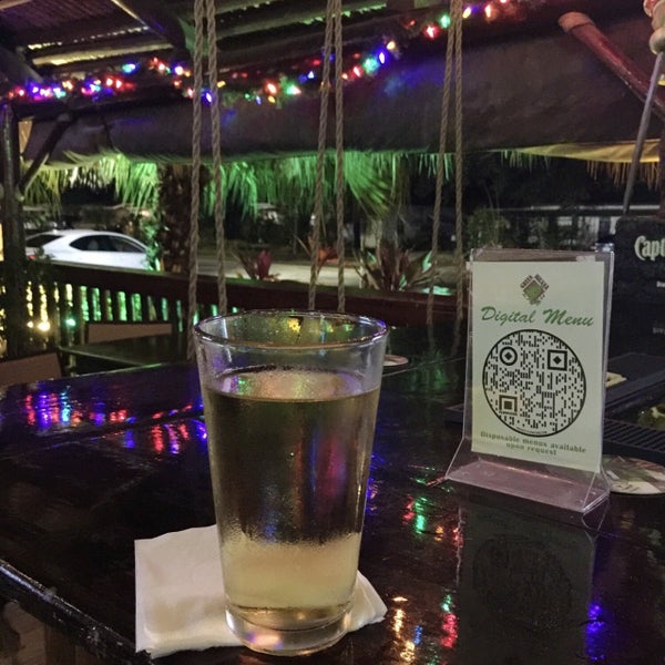 Green Iguana Bar & Grill Dive Bar in Southwest Tampa