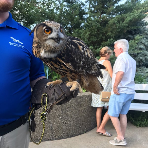 7/13/2019 tarihinde Kate V.ziyaretçi tarafından National Aviary'de çekilen fotoğraf