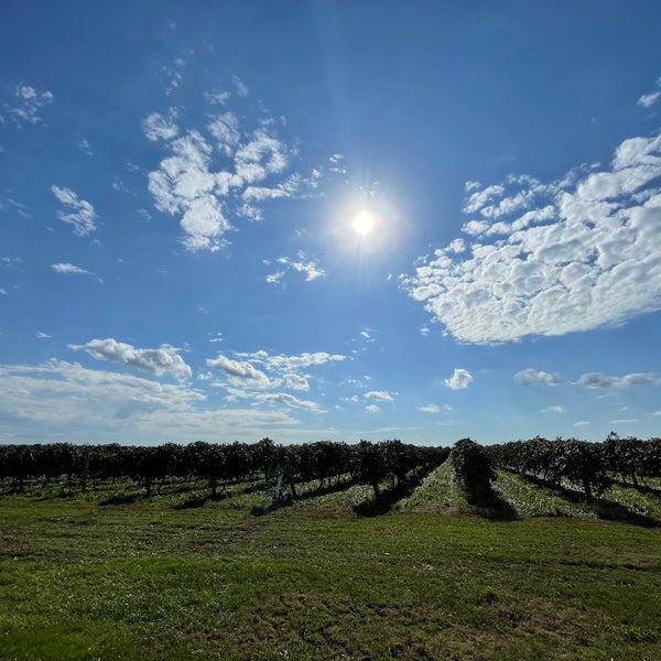 Foto tirada no(a) Penn Shore Winery and Vineyards por Kate V. em 10/20/2021