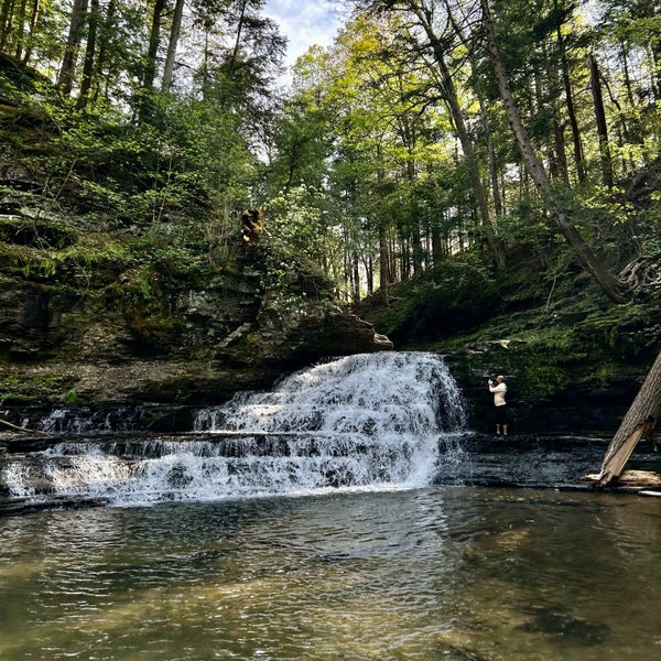 Salt Springs State Park - State or Provincial Park in Franklin