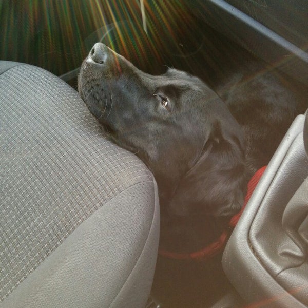 Tesco Supermarket in Carnforth