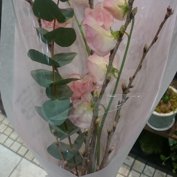 青山フラワーマーケット Visitors