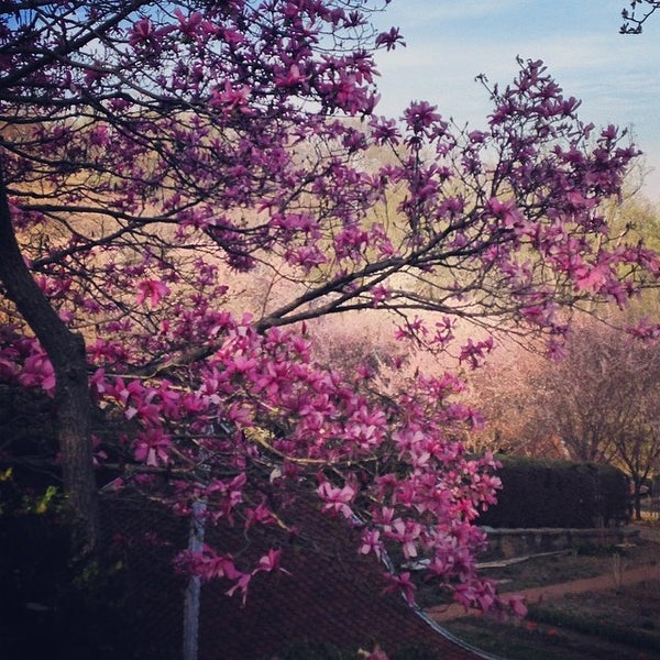 Foto tirada no(a) Dumbarton Oaks Park por Isa L. em 4/13/2014