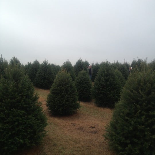 รูปภาพถ่ายที่ Wyckoff&#39;s Christmas Tree Farm โดย Eroc F. เมื่อ 12/8/2012