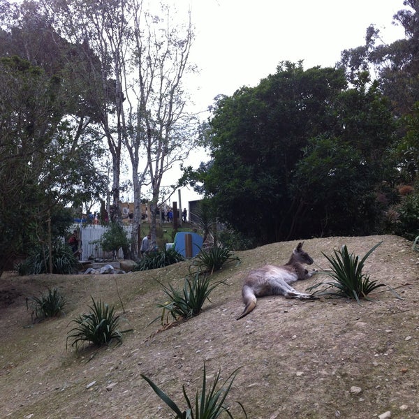 Foto tirada no(a) Wellington Zoo por RT em 4/5/2015