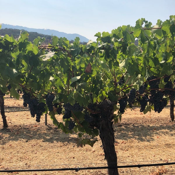 รูปภาพถ่ายที่ Arrowood Vineyards &amp; Winery โดย Julia S. เมื่อ 8/14/2018