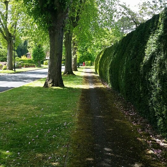 Мур-парк в англии. Bella mur в парке. Парк мур. Гольфа парк ла. Парк дорога по пеховки в е.