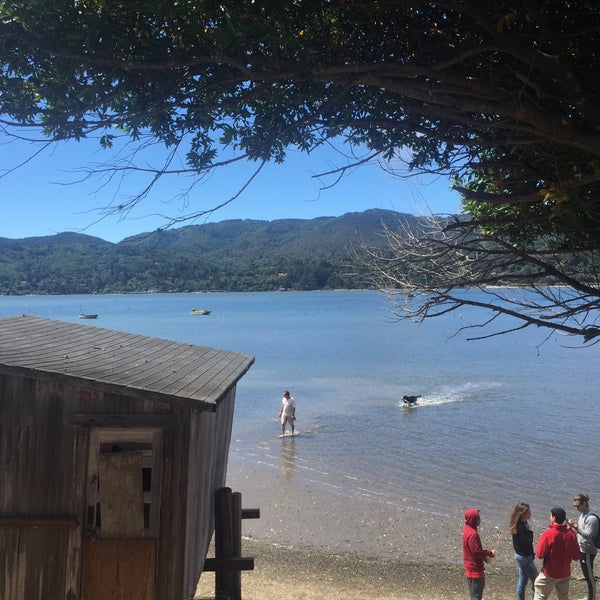 Photo taken at Tomales Bay Oyster Company by Justin L. on 8/9/2015