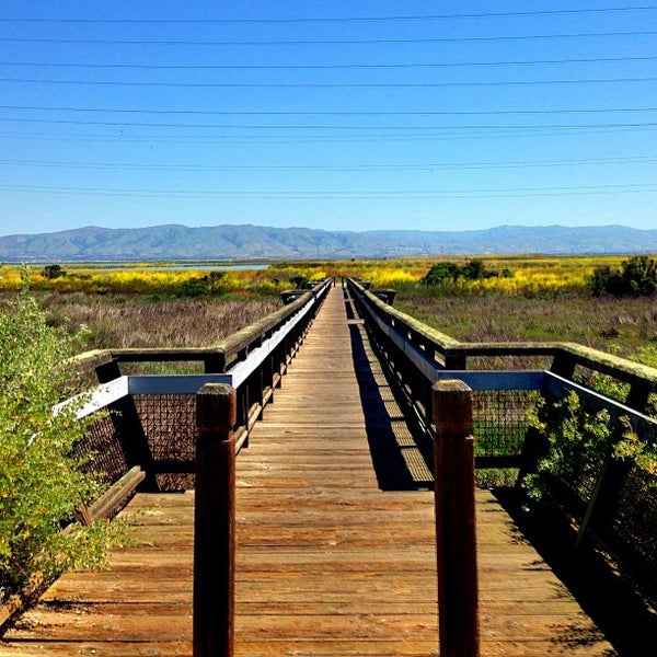 Photos at Stevens Creek Shoreline Nature Study Area - Nature