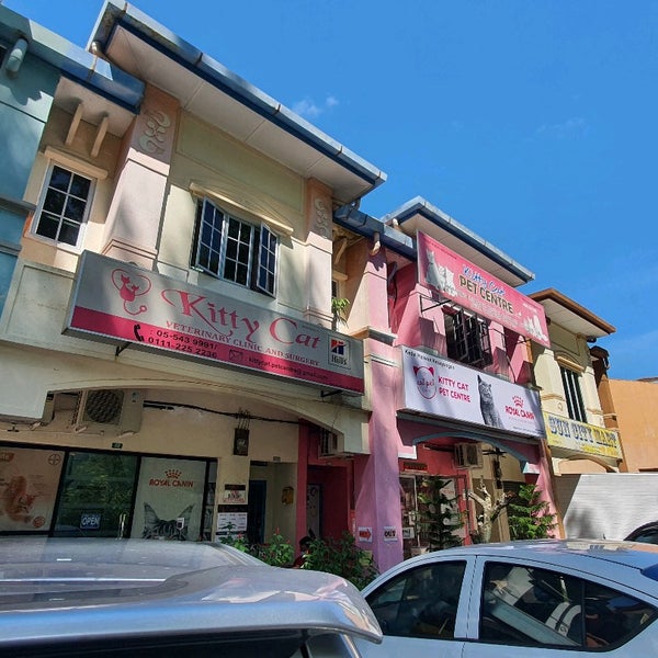 Photos at Kitty Cat Veterinary Clinic Surgery No. 22 Jalan