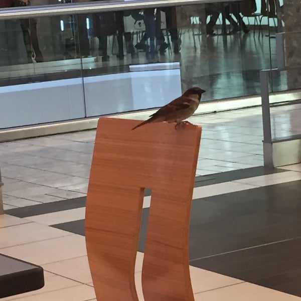 cool design. birds in the food court