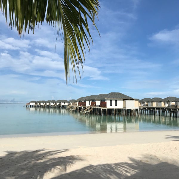 Amari Havodda Maldives Р»РѕРіРѕ