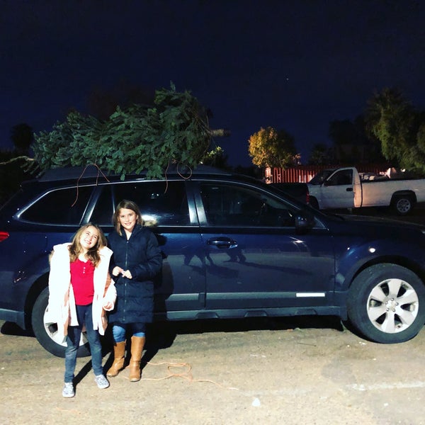 Photos At Whitfill Nursery Camelback East Phoenix Az