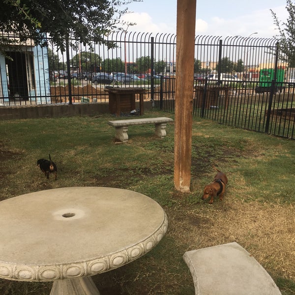 Cedars Dog Park Dallas, TX