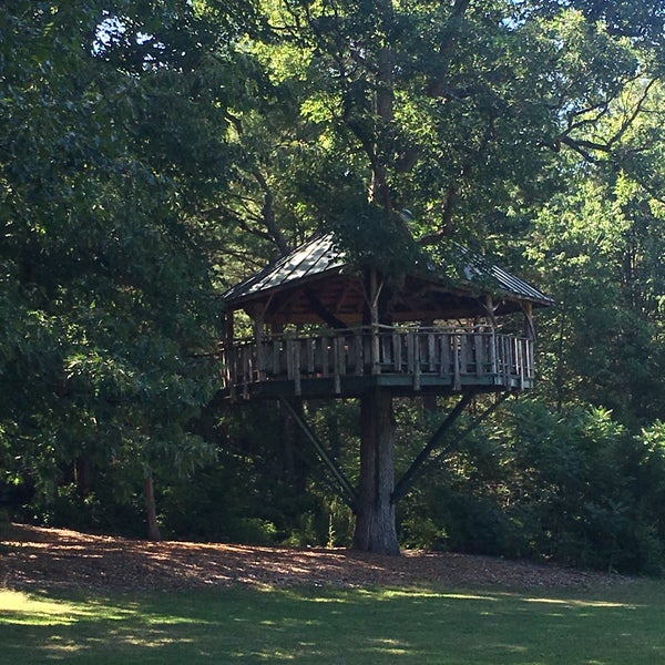 Forever Young Tree House South End Burlington, VT