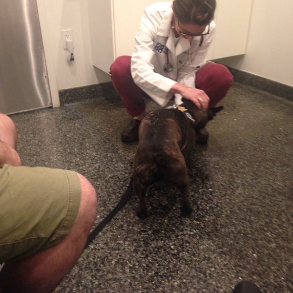 6/14/2014 tarihinde Lauren C.ziyaretçi tarafından VCA All Pets Hospital'de çekilen fotoğraf