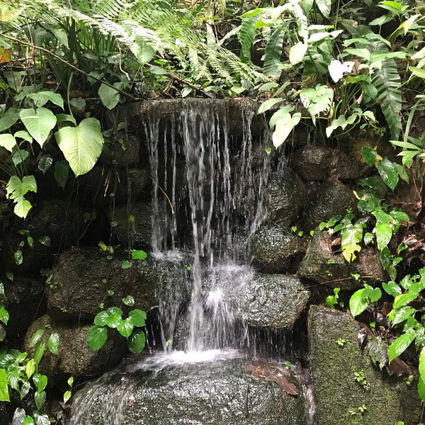 Photo taken at Tropical Spice Garden by Alice Y. on 4/29/2019