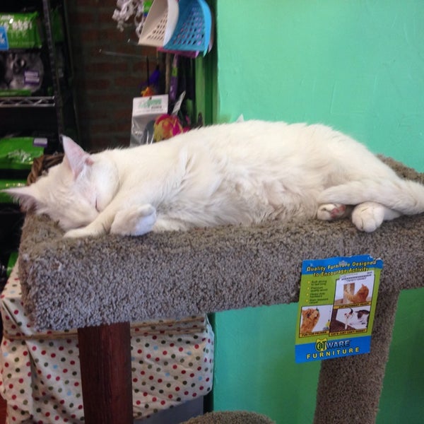 Doggy Style Pet Shop Wicker Park 2 tips