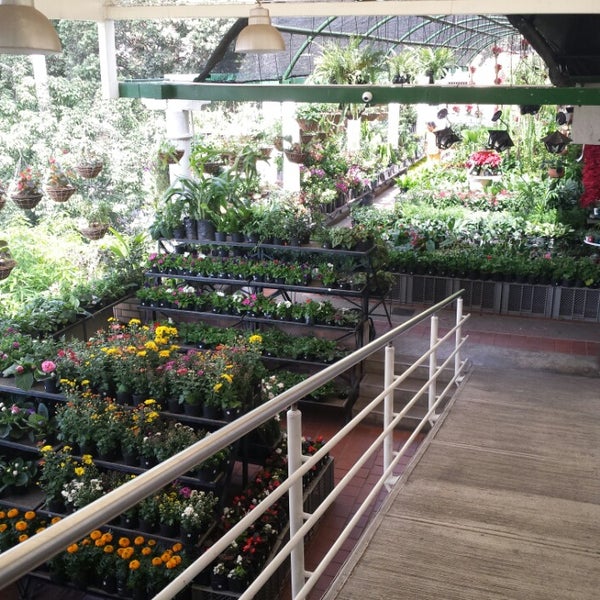 BOSQUE® Vivero y Artesanias Tienda de artesanía en Bucaramanga