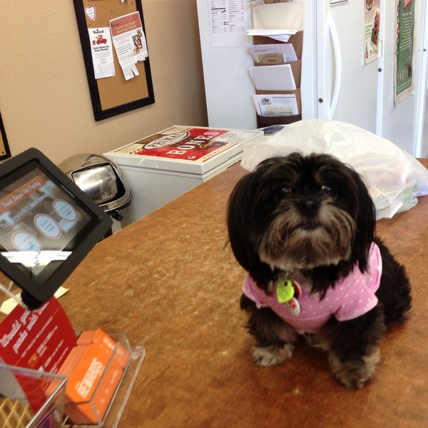 Photos At Point Loma Pet Pantry Pet Store In Point Loma Heights