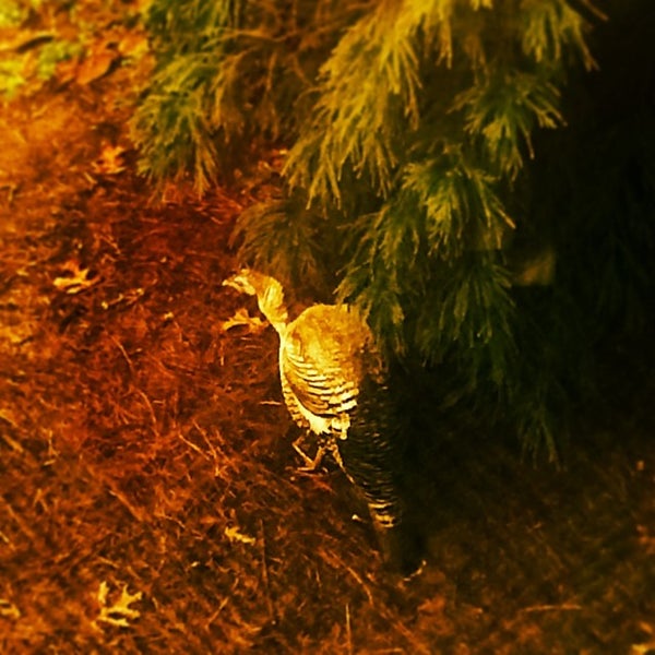 McKesson/RelayHealth 1145 Sanctuary Pkwy Ste 200