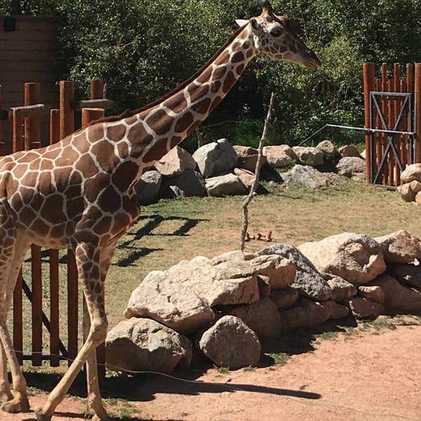 9/14/2018 tarihinde Andy R.ziyaretçi tarafından Cheyenne Mountain Zoo'de çekilen fotoğraf