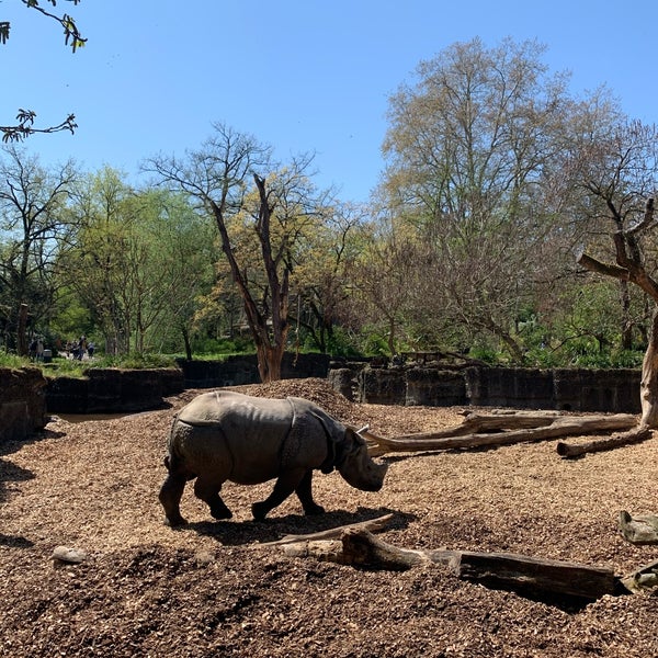 Foto diambil di Zoo Basel oleh Xavier B. pada 4/24/2021