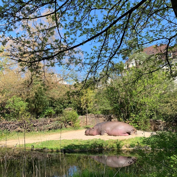 Foto tirada no(a) Zoo Basel por Xavier B. em 4/24/2021