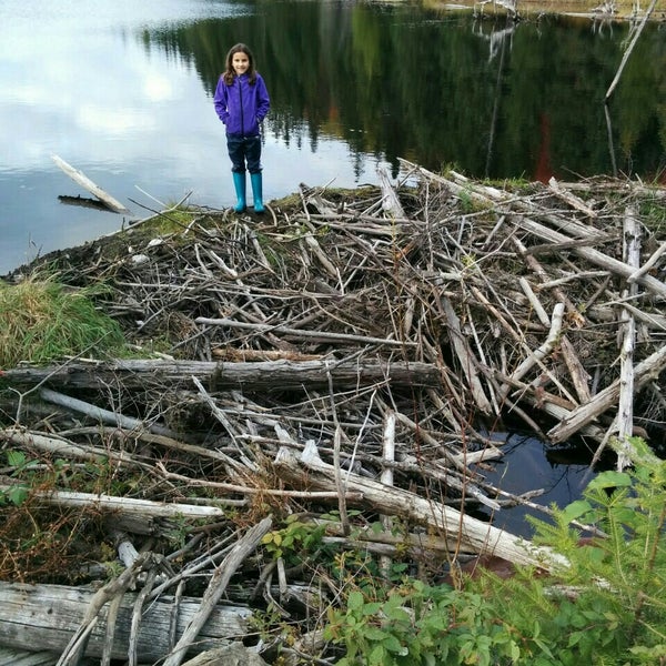 Sand Lake Cottages & Inn Kearney, ON