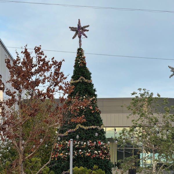 11/26/2023にSuyash S.がHillsdale Shopping Centerで撮った写真