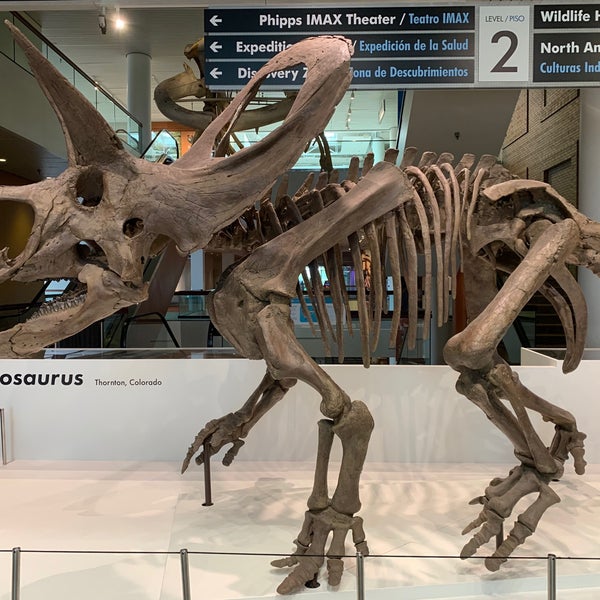 10/1/2021에 DJ님이 Denver Museum of Nature and Science에서 찍은 사진