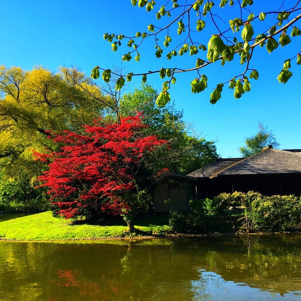 Photos At Japanisches Teehaus Kanshoan Tea Room In Munchen